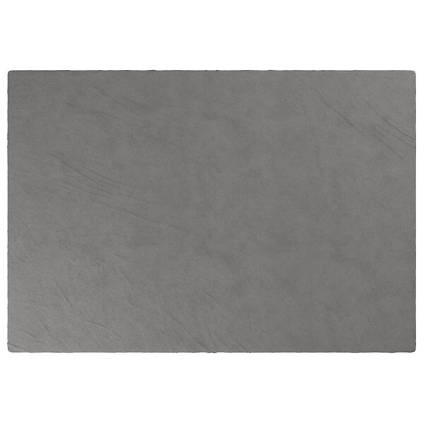 vidaXL Painopeitto p&auml;&auml;llisell&auml; harmaa 137x200 cm 10 kg kangas