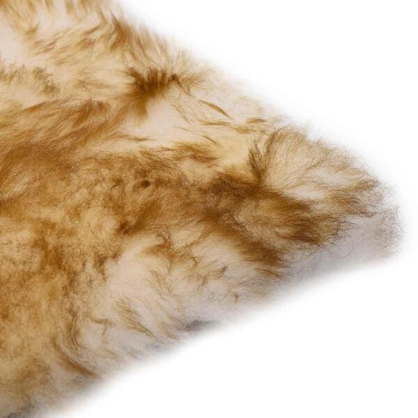 vidaXL Tuolinpehmusteet 2 kpl ruskea melange 40x40cm aito lampaannahka