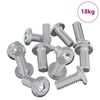 vidaXL P&auml;&auml;tylukitusruuvi 3600 pcs Hopea Ter&auml;s