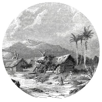 WallArt Tapetti ympyrä Landscape of Guadeloupe 142,5 cm
