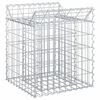 vidaXL Gabion Kohotettu Peti 50 x 50 x 60 cm Galvanoitu ter&auml;s Hopea