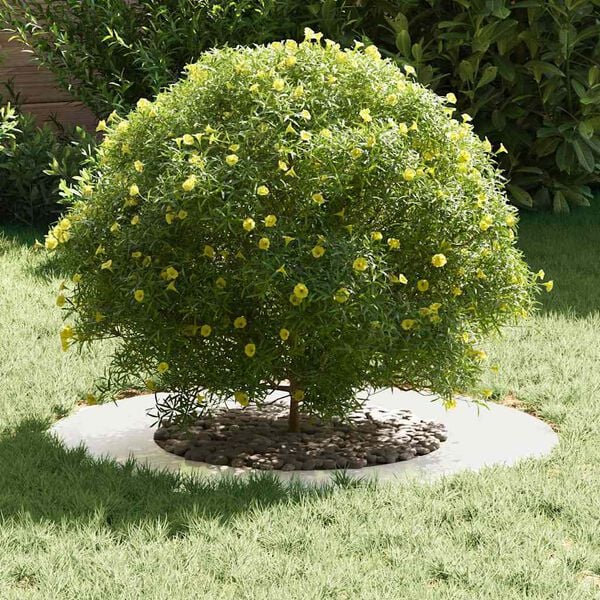 vidaXL sopiva Litteille puu renkaalle 5 pcs Hopea &Oslash;40 / 70 cm