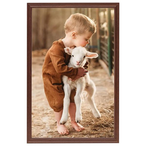 vidaXL Valokuvakehyskollaasi 5 kpl p&ouml;yd&auml;lle ruskea 21x29,7 cm MDF