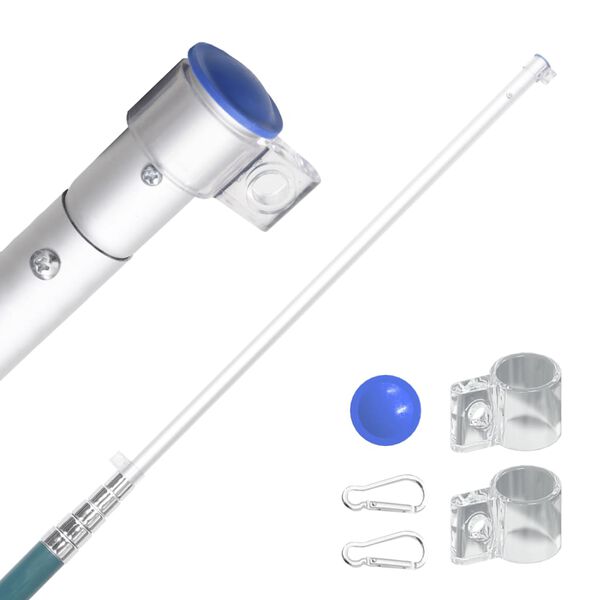 vidaXL Belgian lippu ja lipputanko 5,55 m alumiini