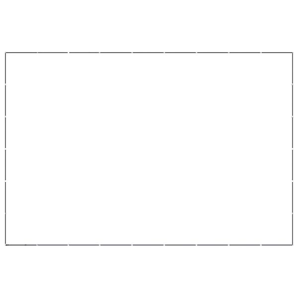 vidaXL Koiran ulkoh&auml;kki ter&auml;s 49,77 m&sup2;