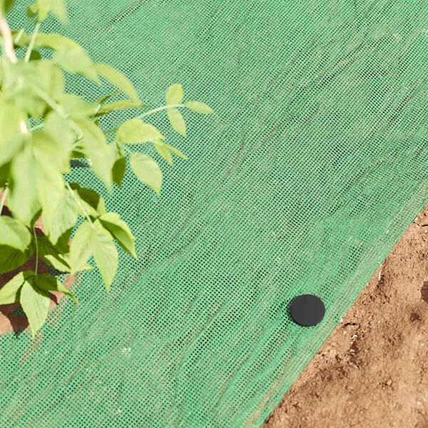 vidaXL Muovipinnat 500 pcs Musta &Oslash;3 x 11 cm Muovi