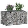 vidaXL Gabion Kohotettu Peti Hopea 100 x 60 x 55 cm Galvanoitu ter&auml;s