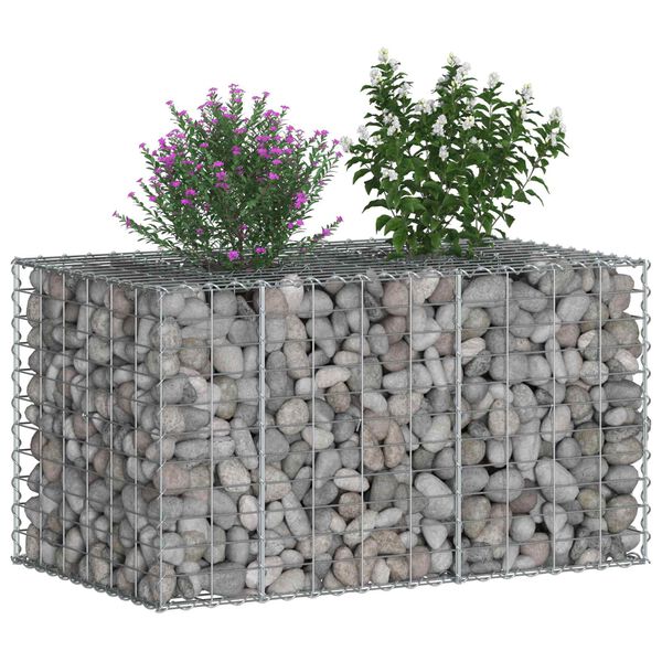 vidaXL Gabion Kohotettu Peti Hopea 100 x 60 x 55 cm Galvanoitu ter&auml;s