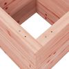 vidaXL Kukkalaatikko 40x40x46 cm t&auml;ysi douglaskuusi