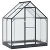 vidaXL Puutarhan Viherhuone ovella Antrasiitti 183,5 x 123 x 207 cm