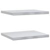 vidaXL Sein&auml;hyllyt 2 kpl 50x40 cm hopea ruostumaton ter&auml;s