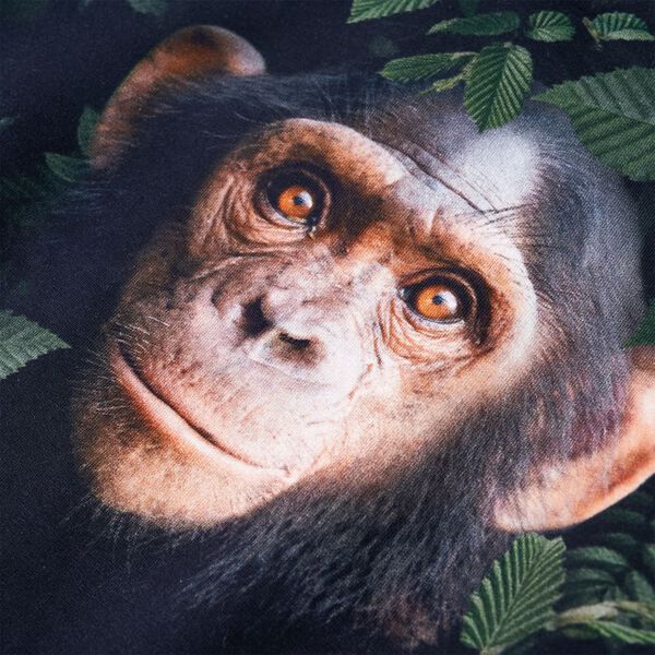 Lasten collegepaita tumma khaki 128