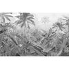 Komar Valokuvasein&auml;maalaus Amazonia mustavalkoinen 400x250 cm