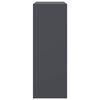 vidaXL Senkki antrasiitti 67x39x107 cm teräs