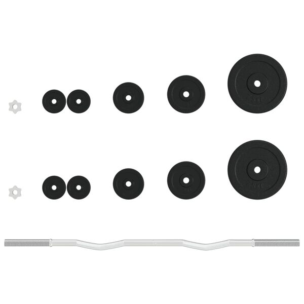 vidaXL Painonnostotanko levypainoilla 30 kg valurauta/kromattu ter&auml;s