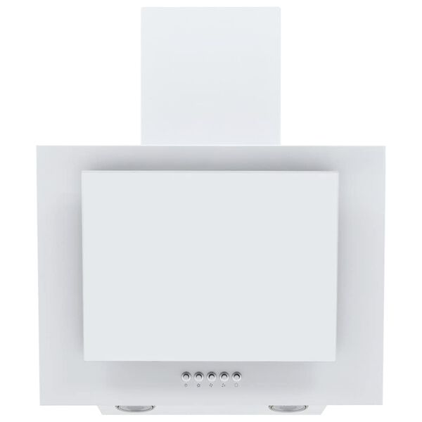 vidaXL Liesituuletin RGB 60 cm ruostumaton ter&auml;s ja karkaistu lasi