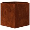 vidaXL Kukkalaatikko ruoste 60x60x45 cm Corten ter&auml;s