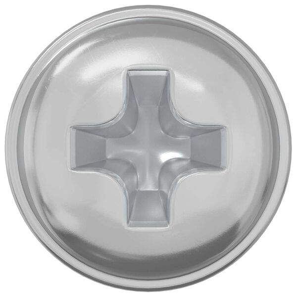 vidaXL Lukitusruuvit 2 pcs Hopea M4 x 5 mm Rauta