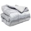 vidaXL Talvityyny 140 x 200 cm 450 gsm Hopea
