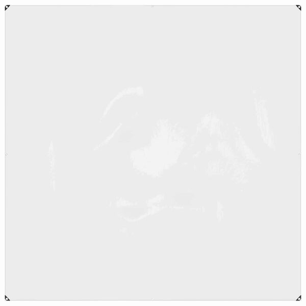 vidaXL Pressu Reijill&auml; L&auml;pin&auml;kyv&auml; 2 x 2 m Polyeteeni