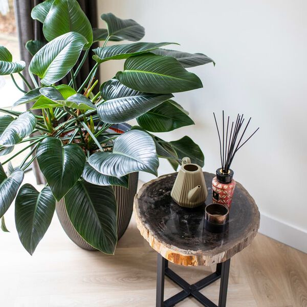 Capi Maljakko Elegant Groove 34x46 cm antrasiitti