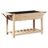 vidaXL Puutarha ruukku Beige 155 x 59 x 76,5 cm S&auml;teisen kuusipuu