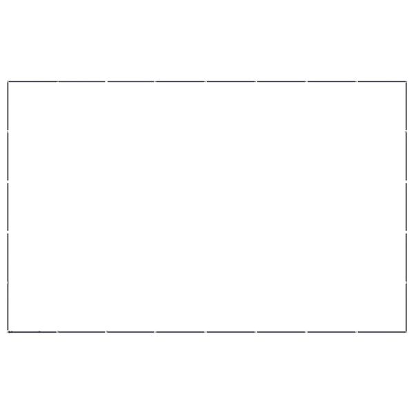 vidaXL Koiran ulkoh&auml;kki ter&auml;s 36,86 m&sup2;