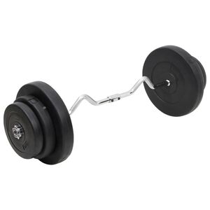 vidaXL Hauistanko levypainoilla 60 kg