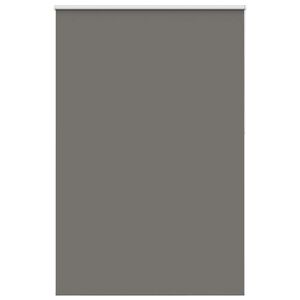 vidaXL Rullaverho Blackout harmaa 165x230 cm Kankaan leveys 161,6 cm
