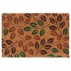 vidaXL Ovimatto luonnollinen 40x60 cm tuftattu kookos