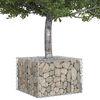 vidaXL Gabion Kohotettu Peti Hopea 60 x 60 x 40 cm Galvanoitu ter&auml;s