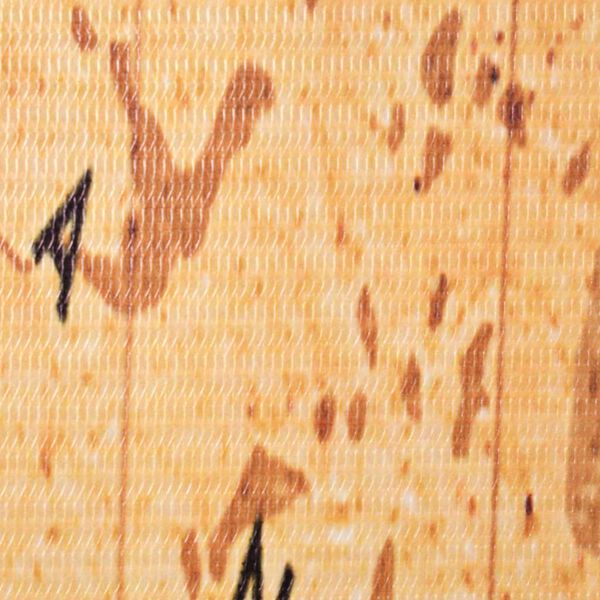 vidaXL Taitettava tilanjakaja 120x170 cm maailmankartta keltainen