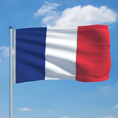 vidaXL Ranskan lippu ja tanko alumiini 6 m