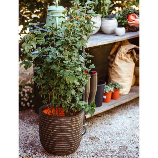 Capi Munanmuotoinen kukkalaatikko Nature Row 43x41 cm oliivinvihreä