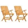 vidaXL Kokoontaitettavat tuolit 2 kpl 61x67x90 cm massiivipuu tiikki
