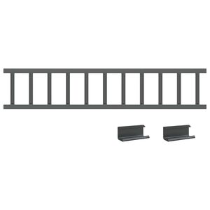 vidaXL Katto lumivahti Antrasiitti 100 x 2,5 x 20 cm Ter&auml;s