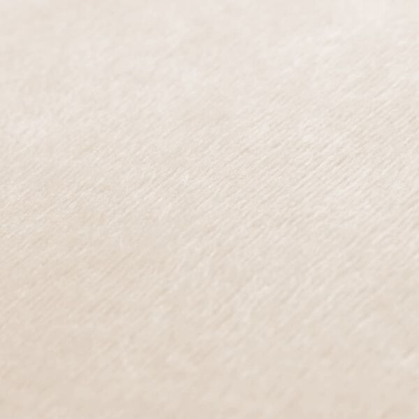 vidaXL Tyynynp&auml;&auml;llinen 4 kpl kangas 80x80 cm luonnonvalkoinen