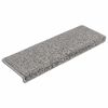 vidaXL Portaiden matot 10 kpl 65x21x4 cm harmaa suorakaiteen muotoinen reuna