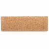 vidaXL Porrasmatot 10 kpl 65x21x4 cm Beige Suorakulmainen Reuna