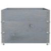 vidaXL Kukkalaatikko harmaa 120x80 cm t&auml;ysi m&auml;nty