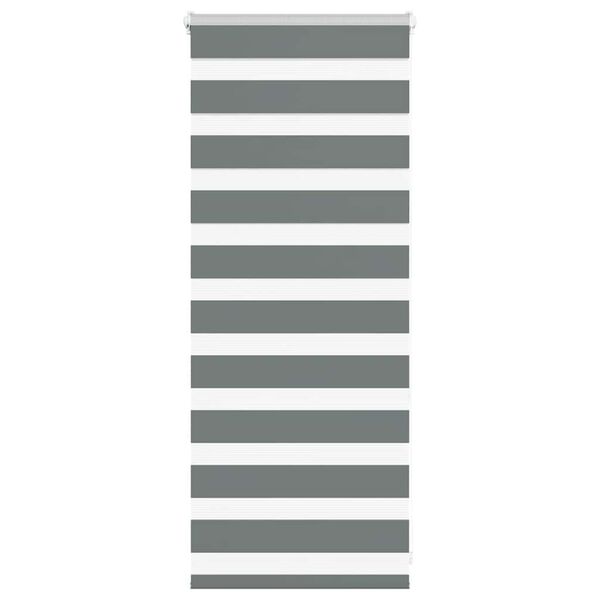 vidaXL Seepra rullaverho 60x100 cm kankaan leveys 55,9 cm polyesteri