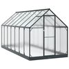 vidaXL Puutarhan Viherhuone 183,5 x 423,5 x 207 cm
