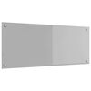 vidaXL Keitti&ouml;n v&auml;litila Vaaleanharmaa 100 x 40 cm karkaistu lasi