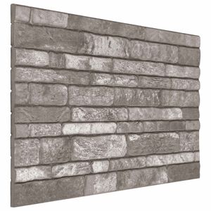 vidaXL Sein&auml;paneelit 10 kpl 100 x 50 cm Tummanharmaa EPS vaahtomuovi