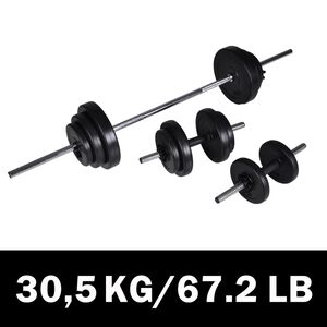 Levypaino + 2 k&auml;sipainon sarja 30,5 kg