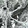Tuotteen pikkukuva 11 / 13