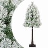 Green_and_white