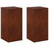 vidaXL Kasviteline 2 pcs Ruosteinen 30 x 30 x 60 cm S&auml;&auml;nkest&auml;v&auml; ter&auml;s