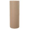vidaXL Pakkassuojakasvivilla Beige 50 x 3,2 m Non-woven Kangas