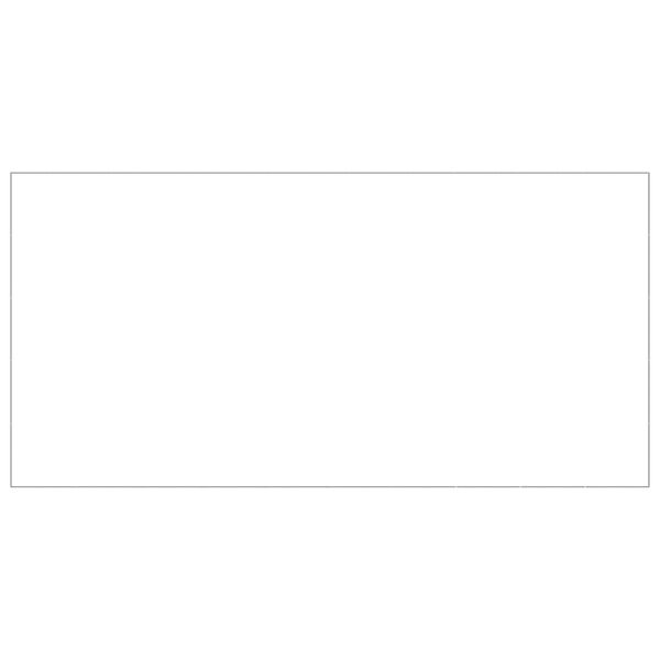 vidaXL Koiranh&auml;kki hopea 50 m&sup2; ter&auml;s